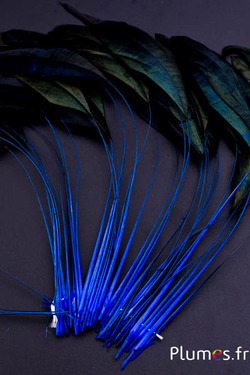 Coquetips - 12-17 cm - bleu-noir